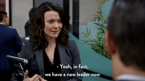 data analyst to leading positions