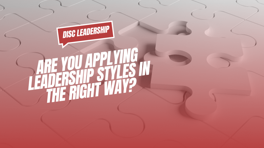 DISC leadership styles